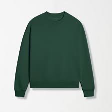 A dark green Hackett Top sweatshirt.